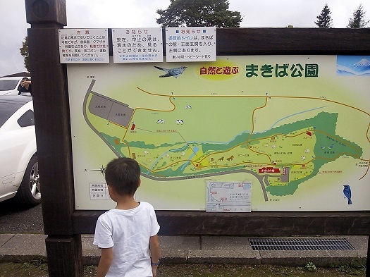 20150820-08.jpg