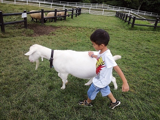 20150820-11.jpg
