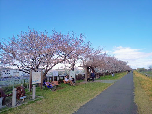 20250406-002.JPG