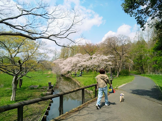 20250412-19.JPG