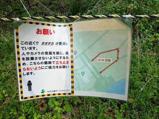 20250412-25.JPG