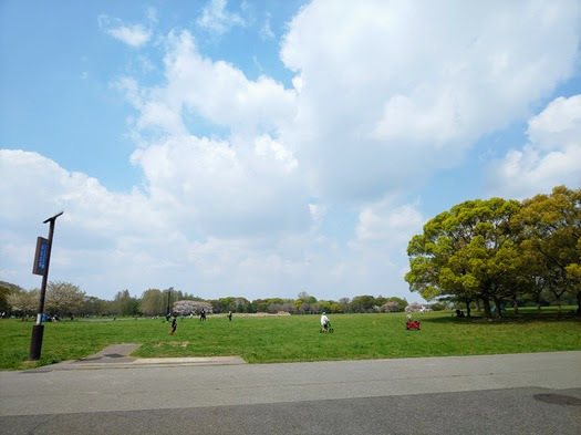 20250412-28.JPG