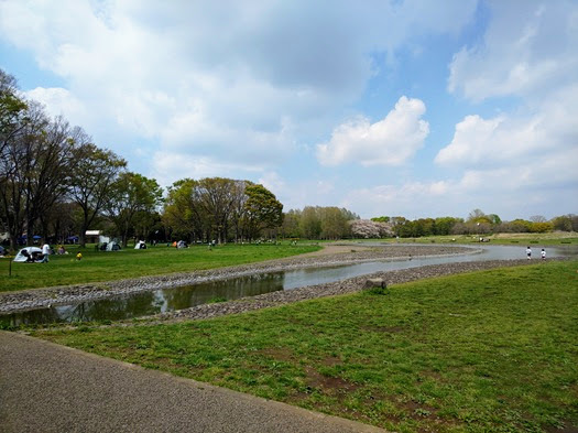 20250412-29.JPG