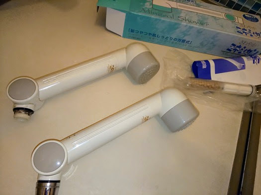 20250412-30.JPG
